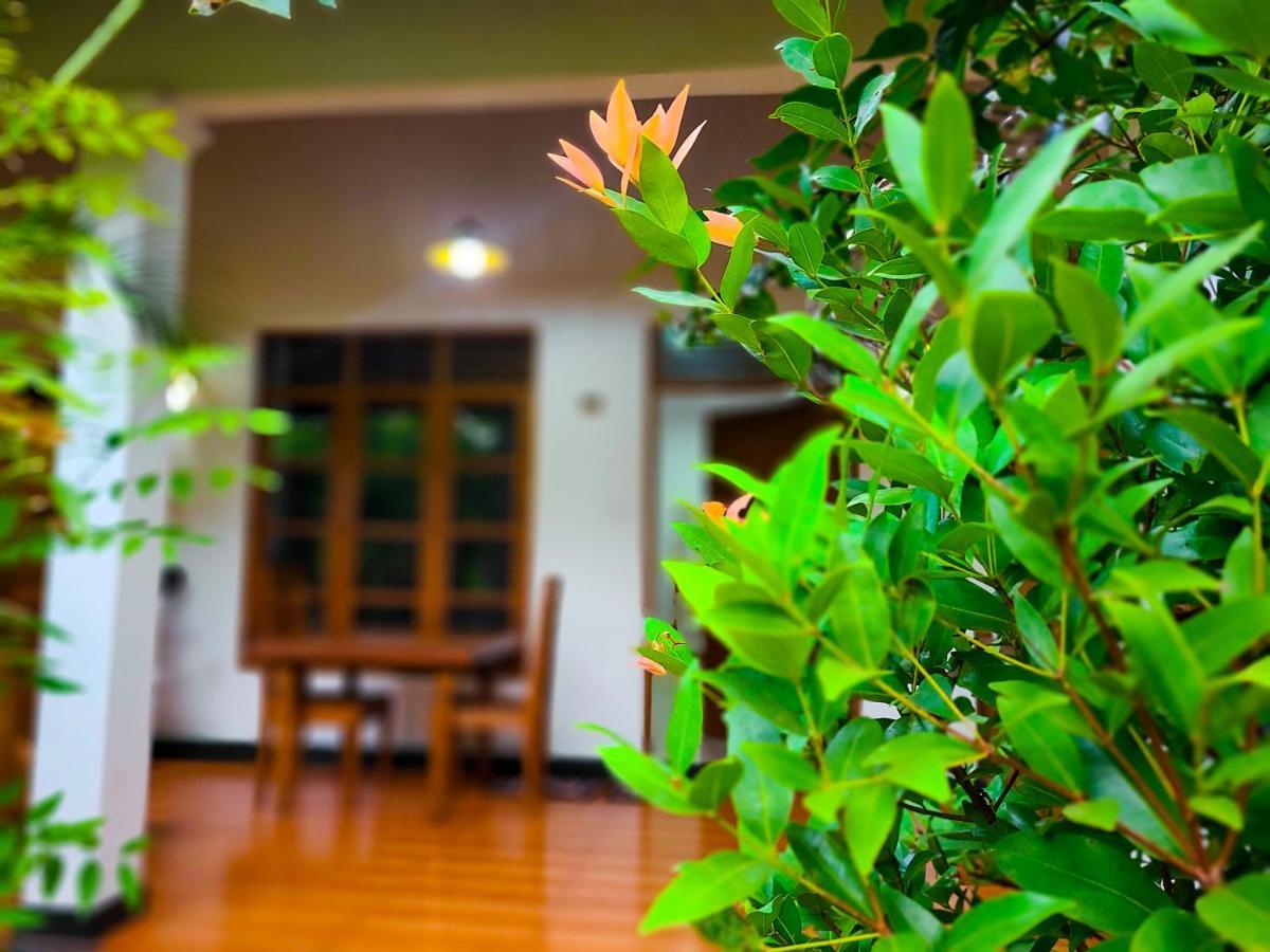 Woodholic Homestay Sigiriya Exterior foto