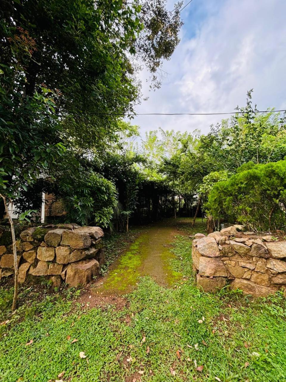 Woodholic Homestay Sigiriya Exterior foto
